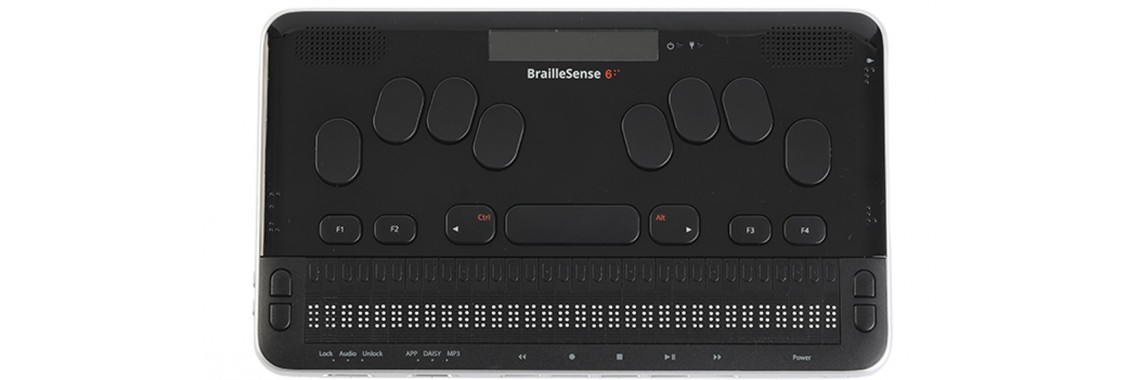 BrailleSense6