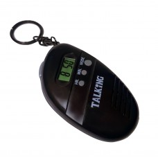 Talking Keychain