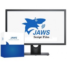 Course in creating script files for JAWS software